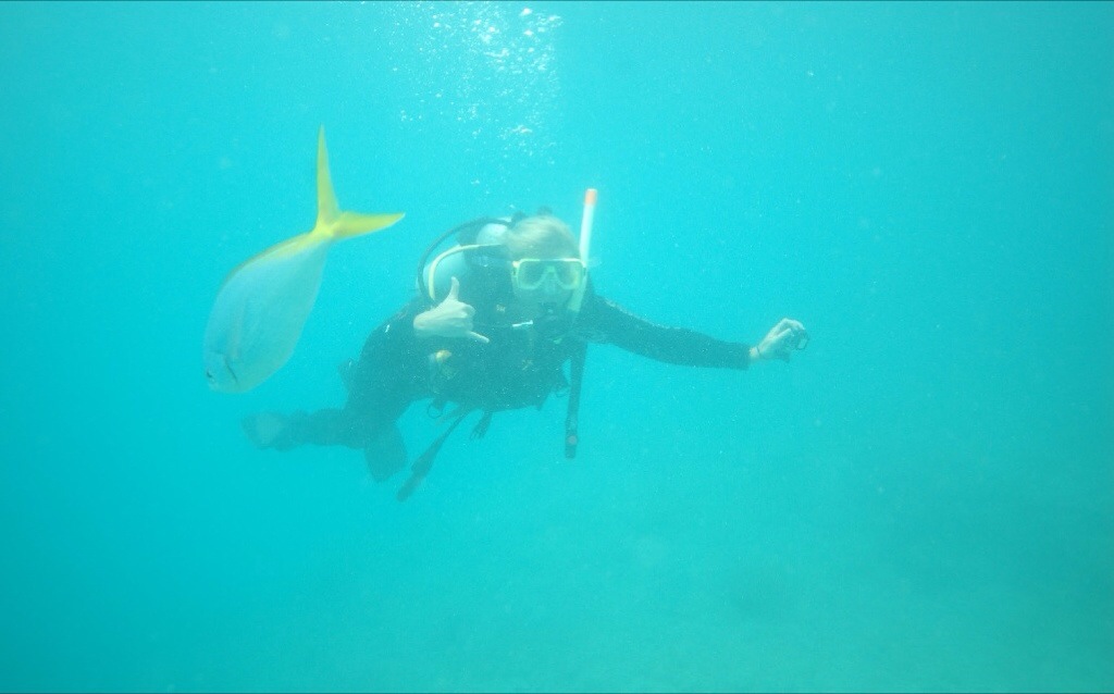 More Dive Photos