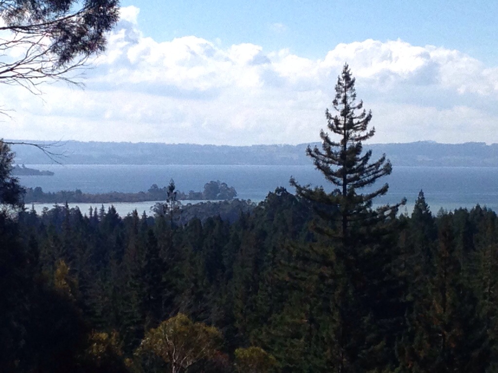 Relaxing with Redwoods and Rotten Eggs