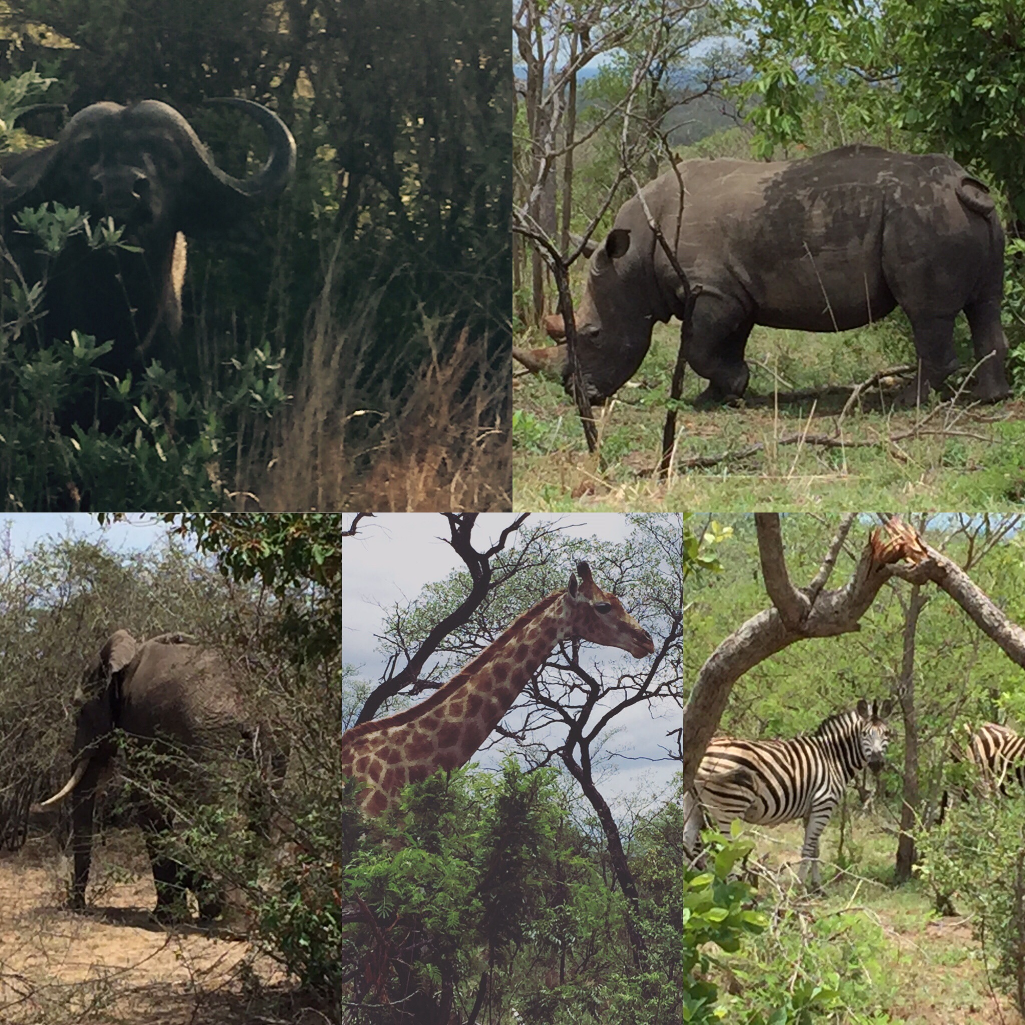 Kruger National Park, South Africa