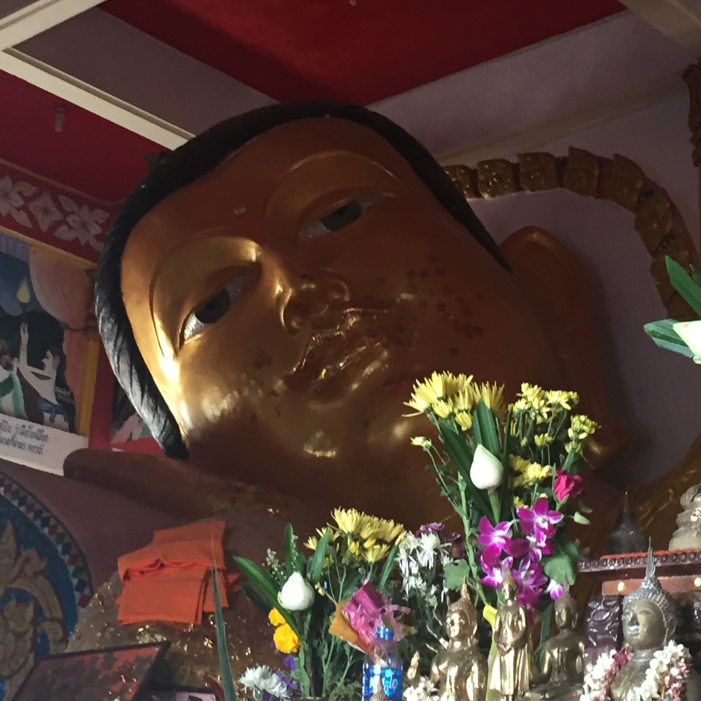 Monkeying Around on Phuket & Sire islands